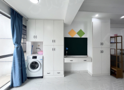 整租·新天地 1室1厅 北_新天地租房