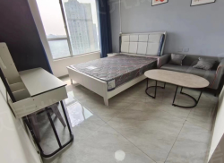 整租·邦泰国际社区北区 1室0厅 西南_邦泰国际社区北区租房