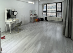 整租·天同国际 1室0厅 西_天同国际租房