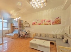 整租·蓝调国际 2室1厅 南_蓝调国际租房