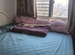 整租·荣盛城一期 1室1厅 东_荣盛城一期租房