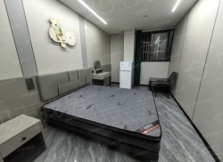 整租·新光里二街 1室0厅 南_新光里二街租房