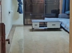 整租·碧桂园 2室2厅 南/北_碧桂园租房