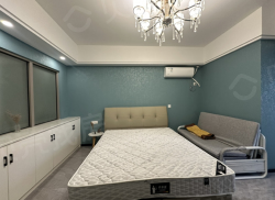 整租·新天地 1室1厅 南/北_新天地租房