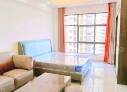 整租·恒利·宜悦城 1室1厅 南_恒利·宜悦城租房