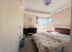 整租·金海湾森林逸城 3室2厅 南/北_金海湾森林逸城租房