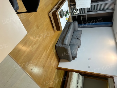 整租·中新星湖公馆 1室1厅 西北