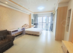 整租·步步高广场 1室1厅 南_步步高广场租房