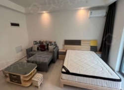 整租·俊发滨江俊园 1室0厅 北_俊发滨江俊园租房