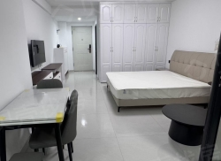 整租·新天地 1室0厅 南_新天地租房