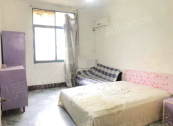 整租·王家里 3室1厅 东南_王家里租房