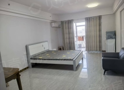 整租·金鑫未来港 1室1厅 西南_金鑫未来港租房