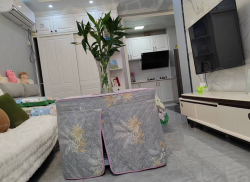 整租·鼎康朗庭豪园 1室1厅 东_鼎康朗庭豪园租房