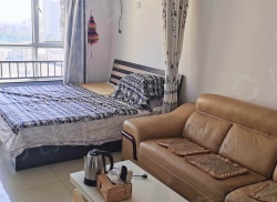 整租·盛世银座 1室1厅 南_盛世银座租房