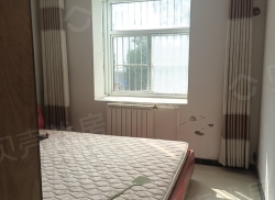 整租·河西新村 3室2厅 南/北_河西新村租房