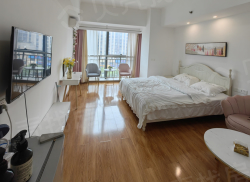 整租·友邦广场 1室1厅 南_友邦广场租房