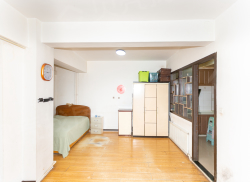 整租·林江名城 1室1厅 东/西_林江名城租房