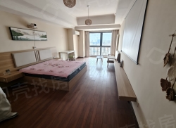 整租·万达广场 1室1厅 南_万达广场租房