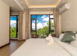 整租·大理国际艺术家园区 4室4厅 东/西_大理国际艺术家园区租房