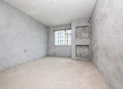 整租·理想城南区 3室2厅 南_理想城南区租房