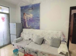 整租·东风路街道西社区 2室1厅 南/北_东风路街道西社区租房