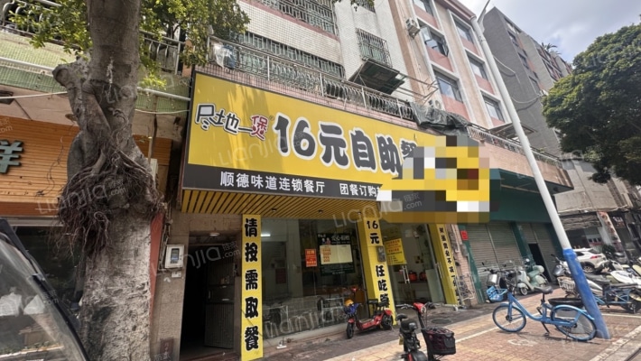 大良单家新桂居委会二手房实景图