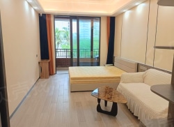 整租·神州小镇(阿拉莫纳小镇) 1室0厅 南_神州小镇(阿拉莫纳小镇)租房