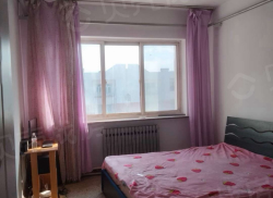 整租·民主路南区 2室1厅 南_民主路南区租房