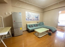 整租·鲁银城市公元 1室1厅 南_鲁银城市公元租房