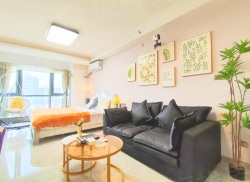 整租·岳阳友阿国际广场 1室1厅 东南_岳阳友阿国际广场租房