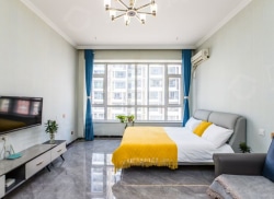 整租·天都嘉成公寓楼 1室0厅 南_天都嘉成公寓楼租房