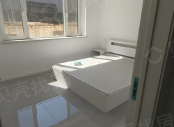 整租·利农小区 1室1厅 南_利农小区租房