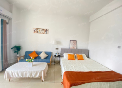 整租·华晨东方时代广场 1室1厅 南/北_华晨东方时代广场租房