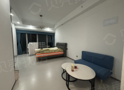 整租·宝龙城 1室1厅 南_宝龙城租房