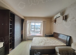 整租·财富国际广场 1室1厅 东南_财富国际广场租房