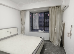 整租·衙前安心公寓 1室1厅 南/北_衙前安心公寓租房