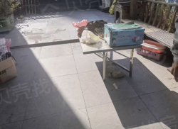 整租·绿丹江苑南区 1室1厅 南/北_绿丹江苑南区租房