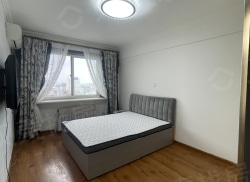 整租·县前街小区 1室1厅 南_县前街小区租房