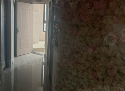 整租·万达广场 3室0厅 东南_万达广场租房