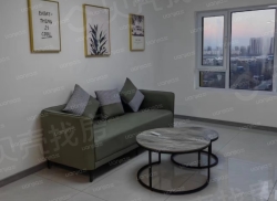 整租·沈抚中南熙悦 2室2厅 南/北_沈抚中南熙悦租房