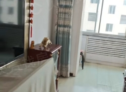 整租·宏源小区 3室2厅 南/北_宏源小区租房