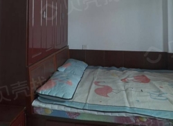 整租·文苑小区(蓬莱) 1室1厅 北_文苑小区(蓬莱)租房