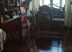 整租·五星公寓 3室2厅 东南_五星公寓租房