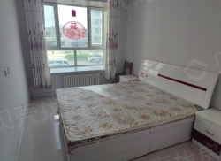 整租·绿苑住宅小区 2室1厅 南_绿苑住宅小区租房
