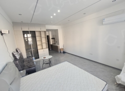 整租·中启·中央广场 1室1厅 北_中启·中央广场租房