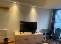 整租·万达晶座 1室1厅 南_万达晶座租房