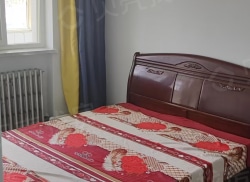 整租·金运小区 2室1厅 南/北_金运小区租房