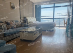 整租·中冶盛世国际广场 1室0厅 南_中冶盛世国际广场租房