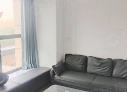 整租·卓悦中心 1室1厅 南_卓悦中心租房