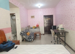 整租·左岸新城 1室1厅 南_左岸新城租房